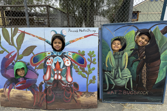 Valley charter elementary school field trip to a wildlife preserve
