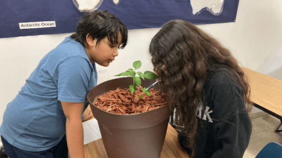 valley charter middle school social studies project based learning: growing an ancient sumerian garden